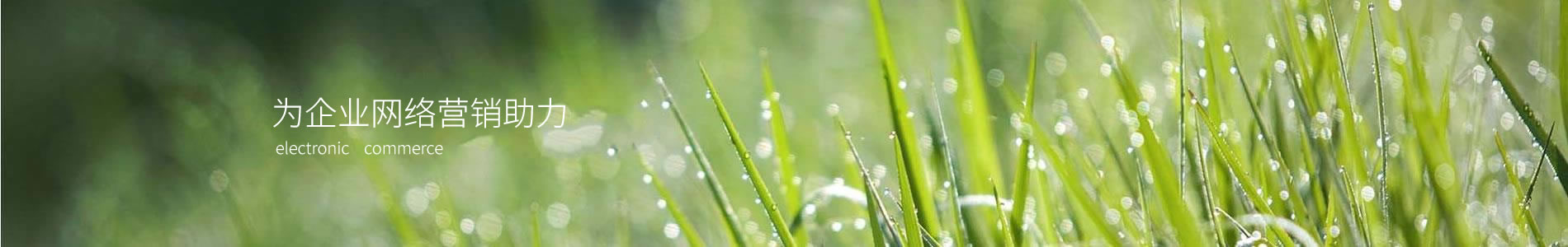 кӿƼ޹˾